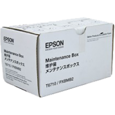 Epson C13T671000