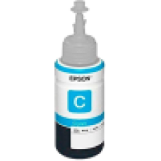 Epson C13T673200