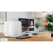 NETGEAR Orbi Mesh WiFi 6 專業級雙頻路由器 2 件套裝 (RBK352)